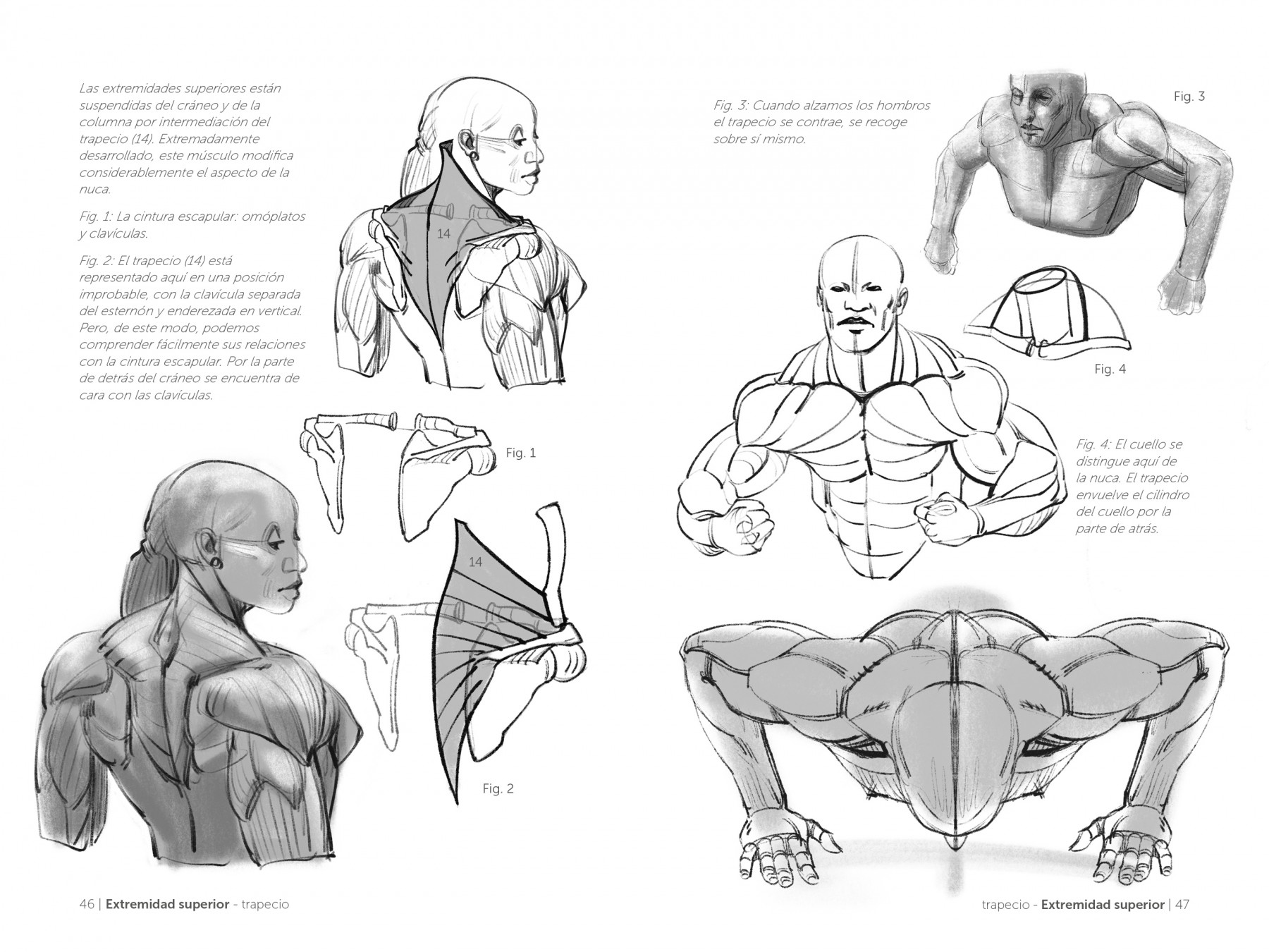 Anatomía Artística 6 de Lauricella, Michel 978-84-252-3261-9
